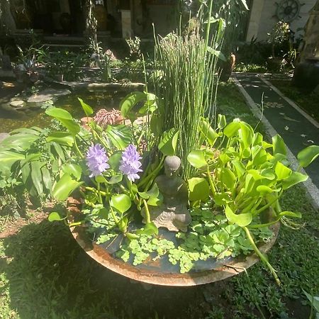 Villa Koi เกอรามัส ภายนอก รูปภาพ