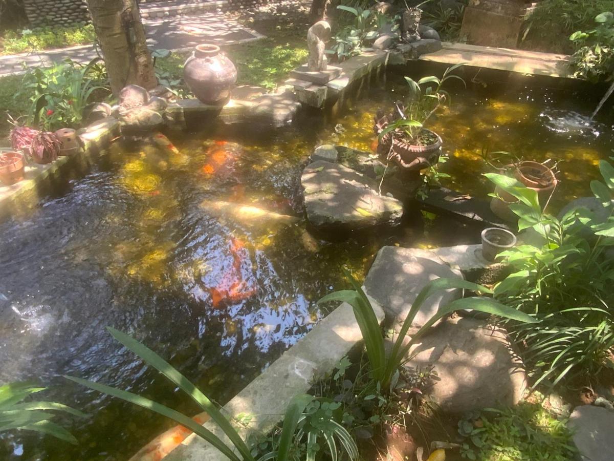 Villa Koi เกอรามัส ภายนอก รูปภาพ