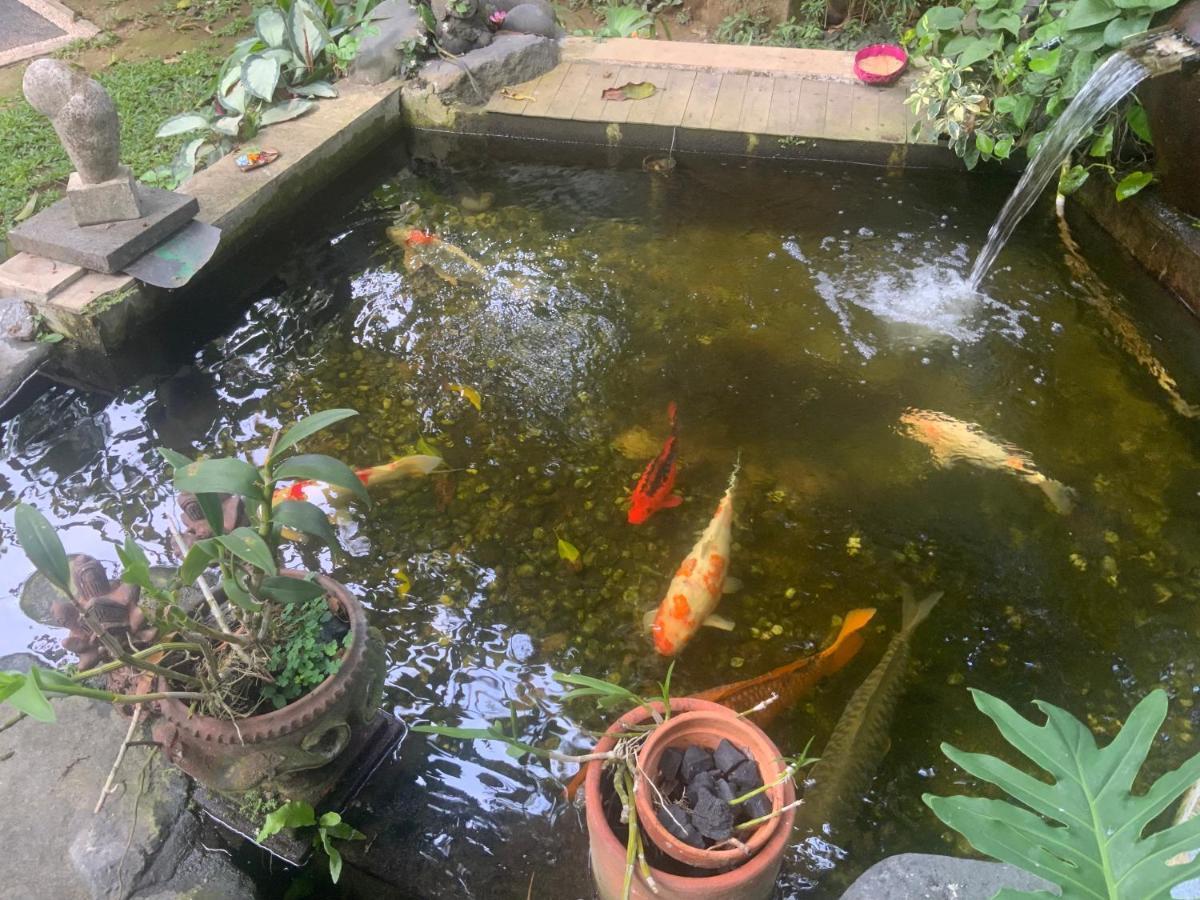 Villa Koi เกอรามัส ภายนอก รูปภาพ
